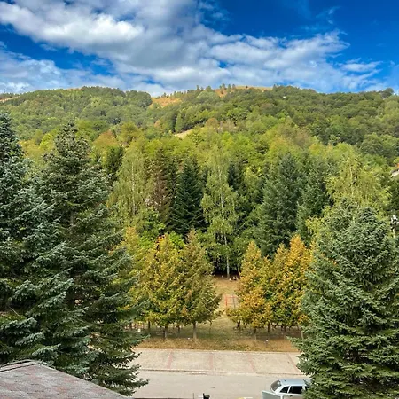 בית הארחה Junior קופאוניק